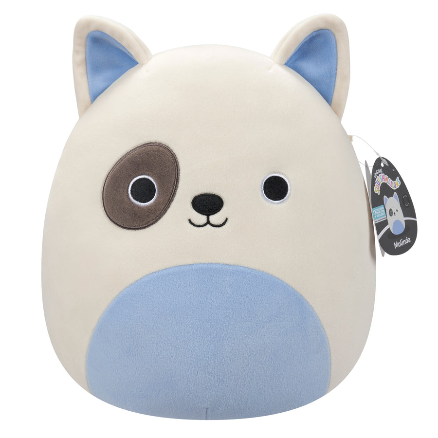 Squishmallows 12-Inch Molinda Bull Terrier Classic Squad Blue | 934-SLBITU
