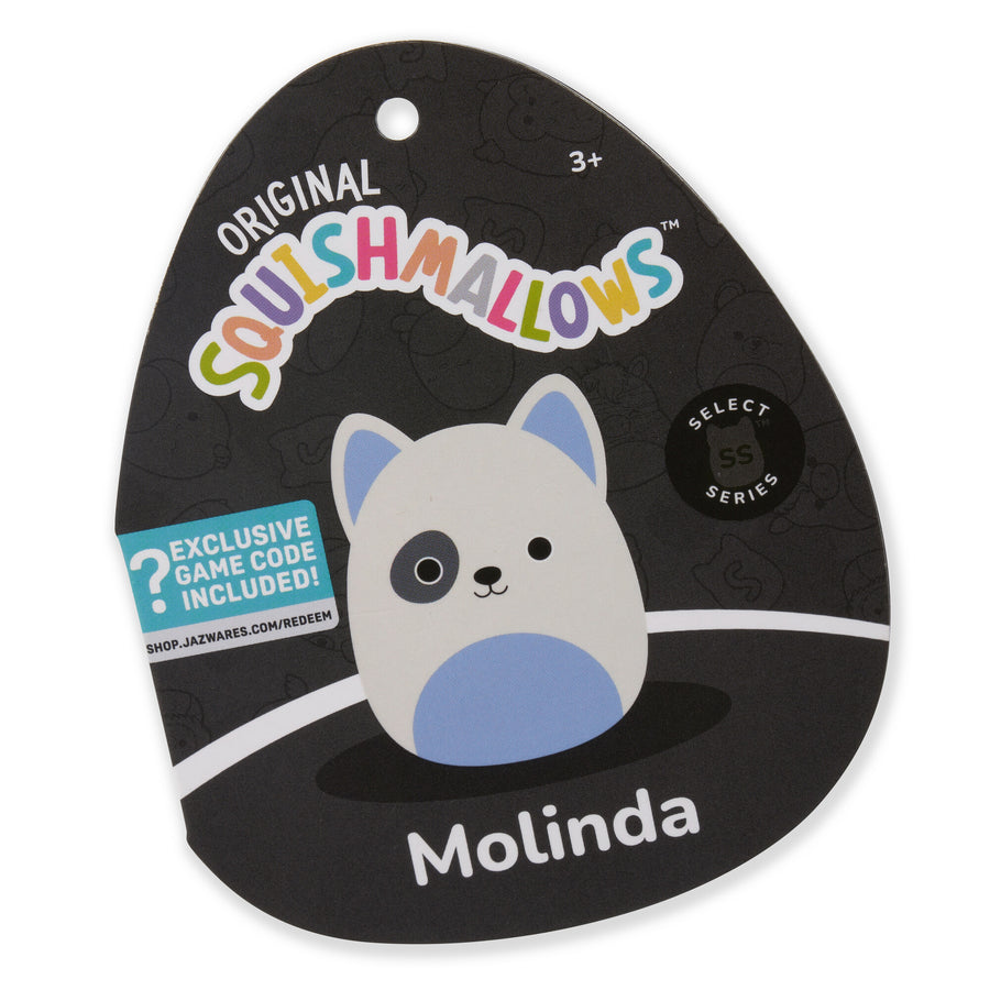 Squishmallows 12-Inch Molinda Bull Terrier Classic Squad Blue | 934-SLBITU