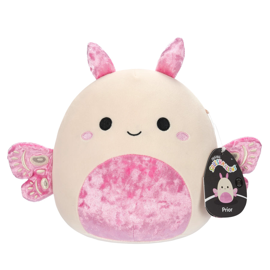 Squishmallows 5
