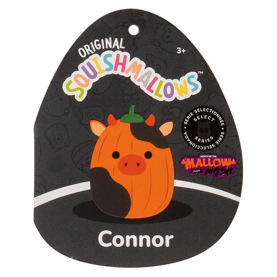 Squishmallows 8-Inch Pumpkin Connor Celebrate 'Mallow Mash Orange | 480-ERLNTV