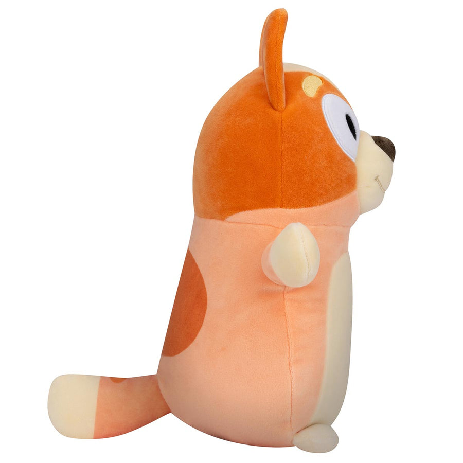 Squishmallows Bluey 10-Inch Bingo HugMees Orange | 427-NLMDCX