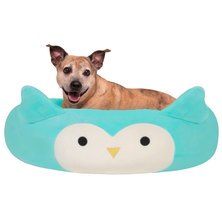 Squishmallows Winston Owl Pet Bed Blue | 680-XVLYME
